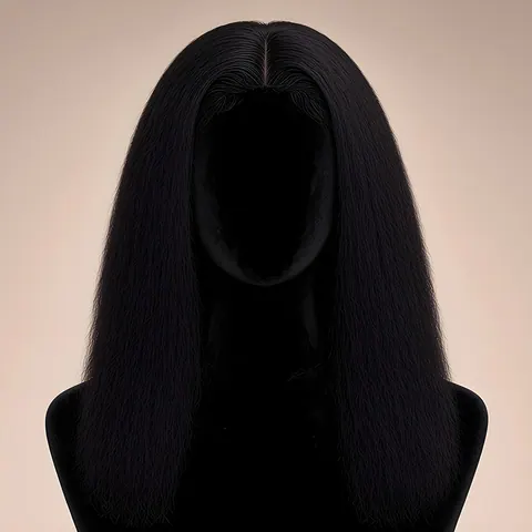 Émeline, HD 13x5 lace front · Natural Black · kinky straight