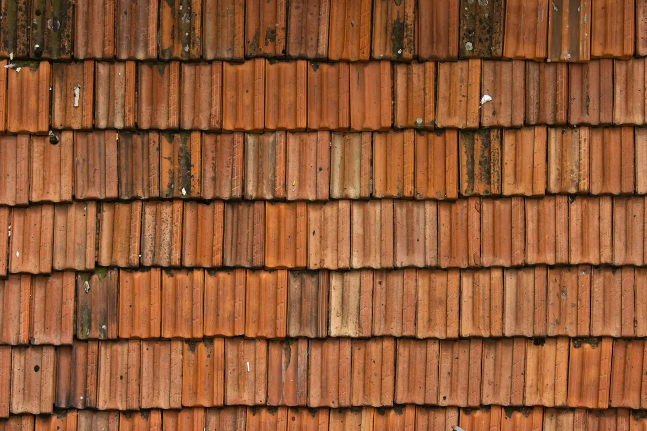 Regen op een pannendak