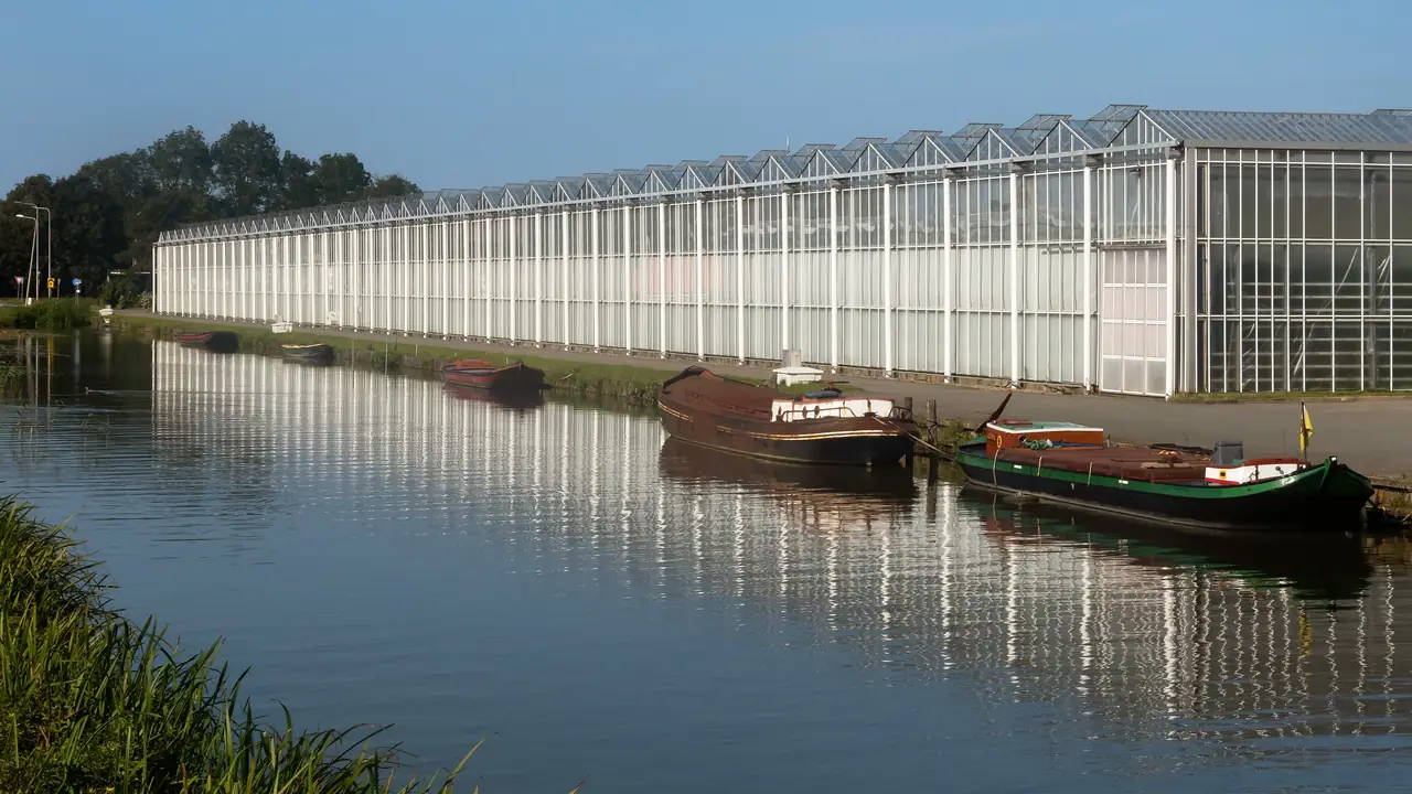 Kassen aan de Wateringseweg in Poeldijk, Westland