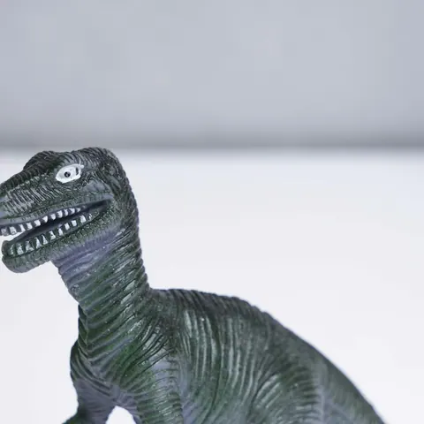 Grande stazione di ricerca dei dinosauri – dettaglio di tessuto e finiture
